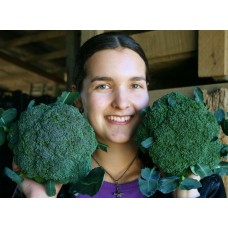 SPRAY FREE BROCCOLI 2 For $4.50 Katikati Grown